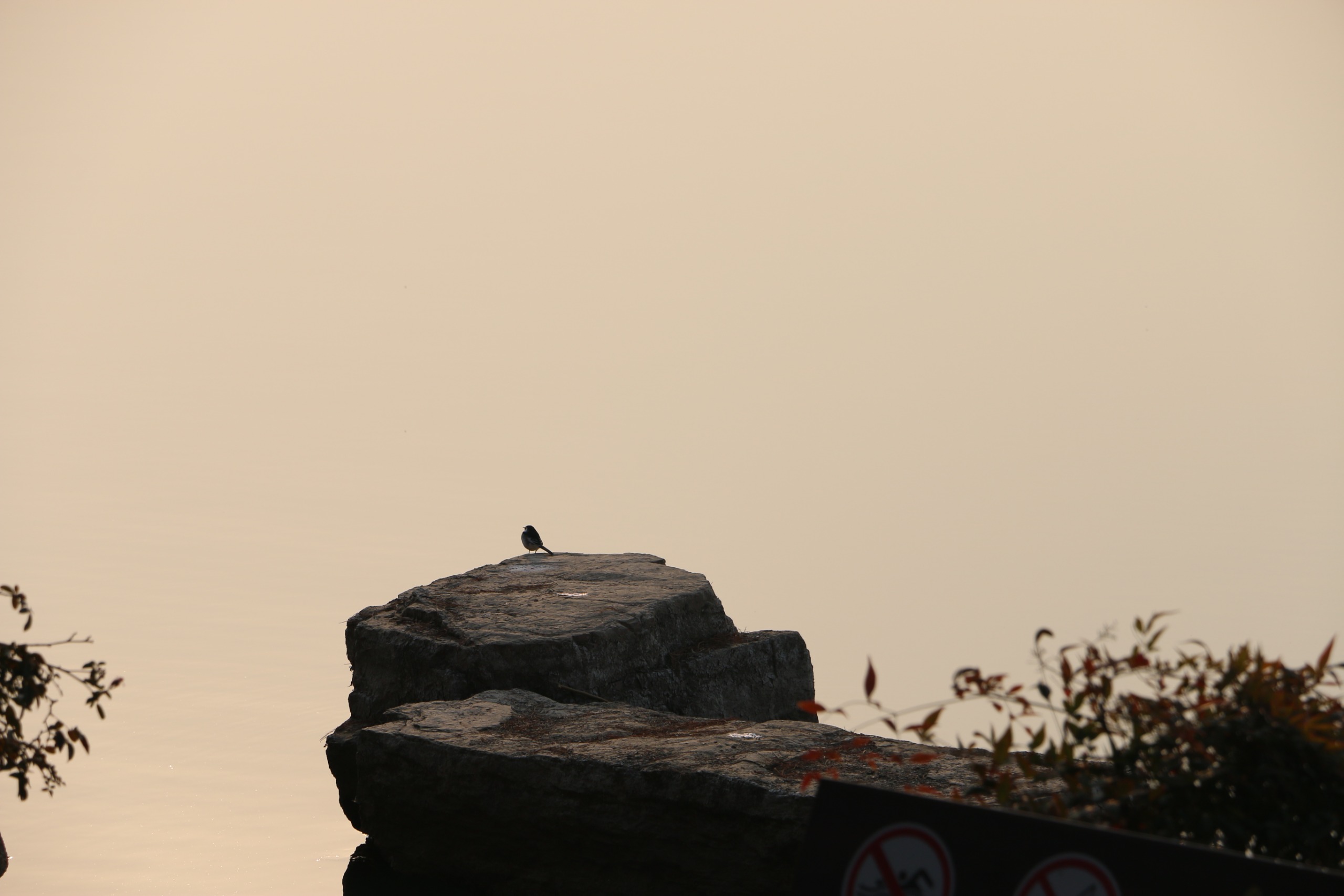 gallery-4f53349e-26c1-4725-b846-22335085e4e4.jpeg