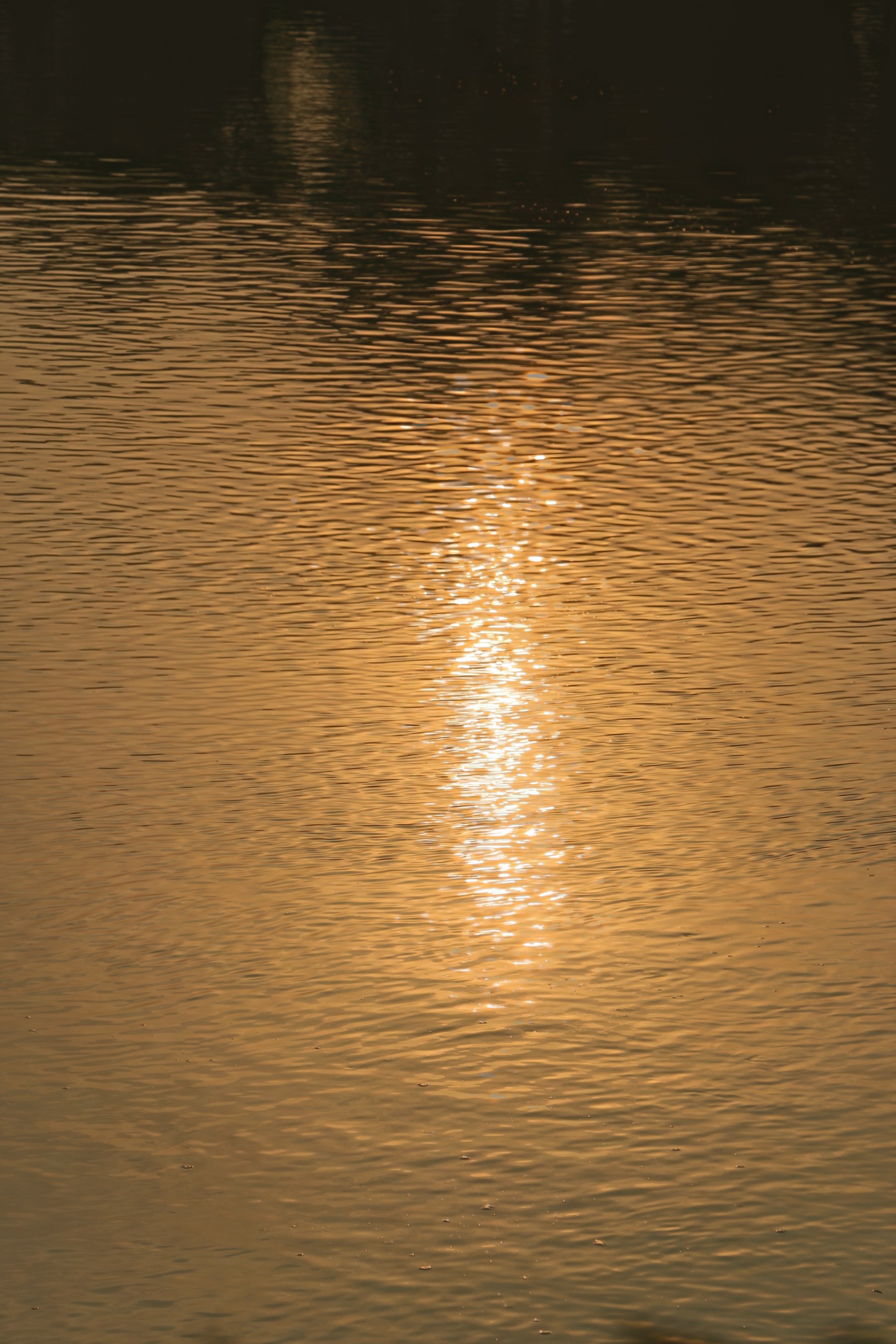 gallery-5d7c4644-3e9a-49e8-bbb2-bb874f292820.jpeg